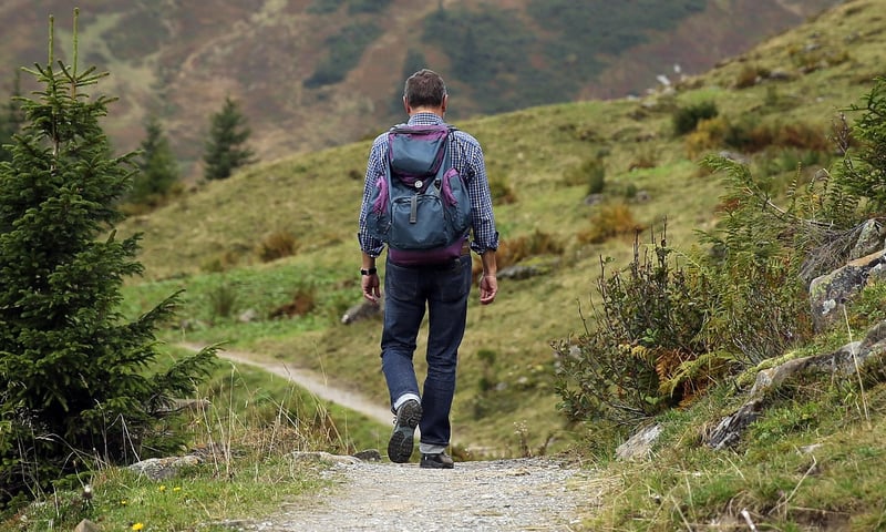 Hidden Trails and Nature Walks